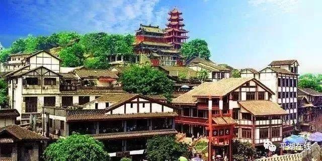 植物大战僵尸16
